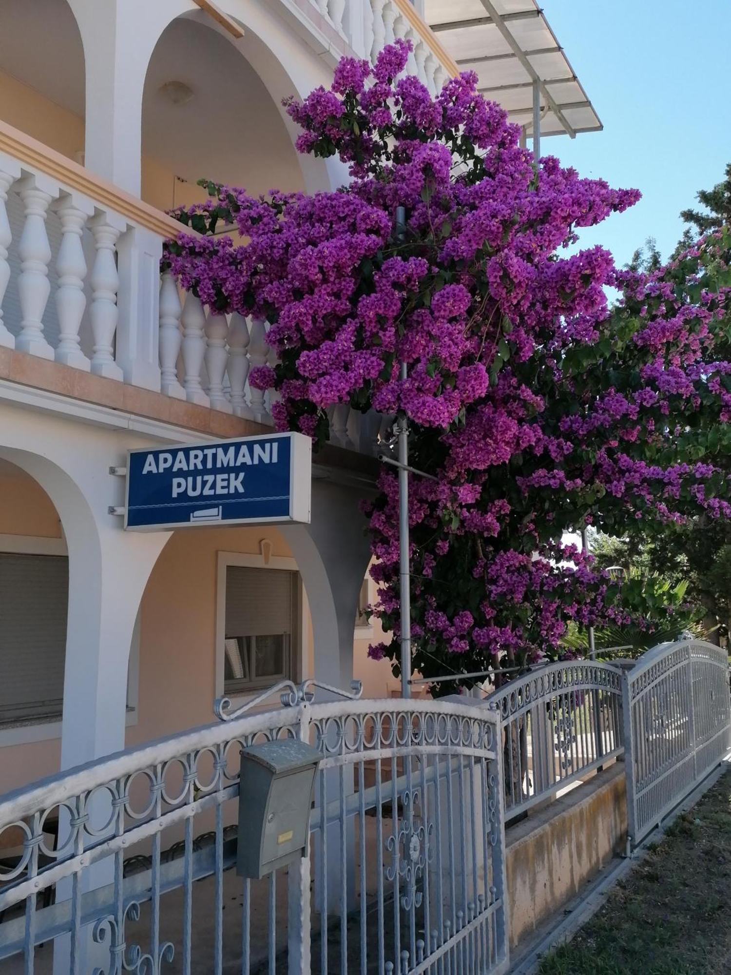 Apartmani Puzek Bibinje Bagian luar foto